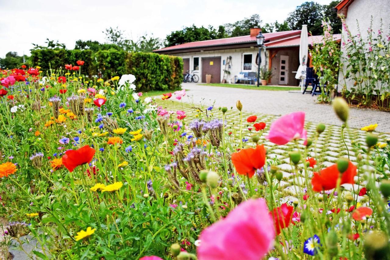 Ferienwohnungen Auf Dem Pommernhof Samtens Экстерьер фото